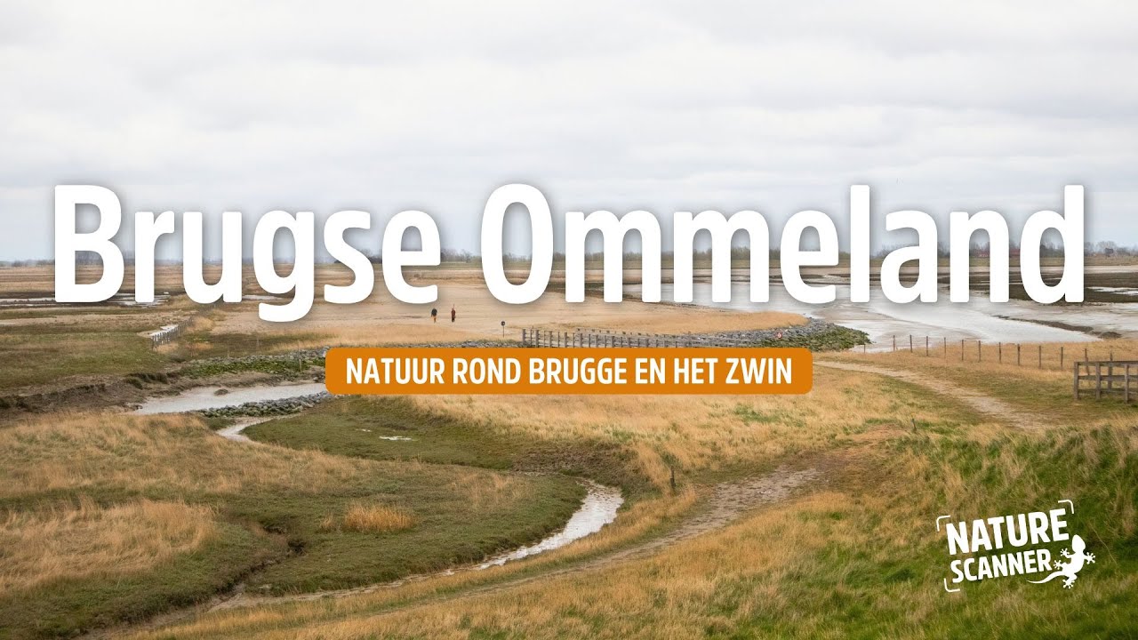 Brugse Ommeland | Natuurgebieden en mooie plekjes rond Brugge