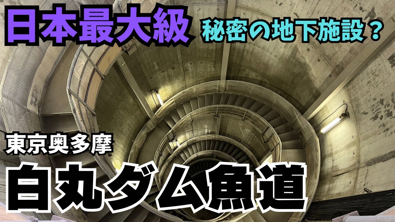 あまり知られていない魚たちの上り道（白丸ダム魚道）に行ってみた