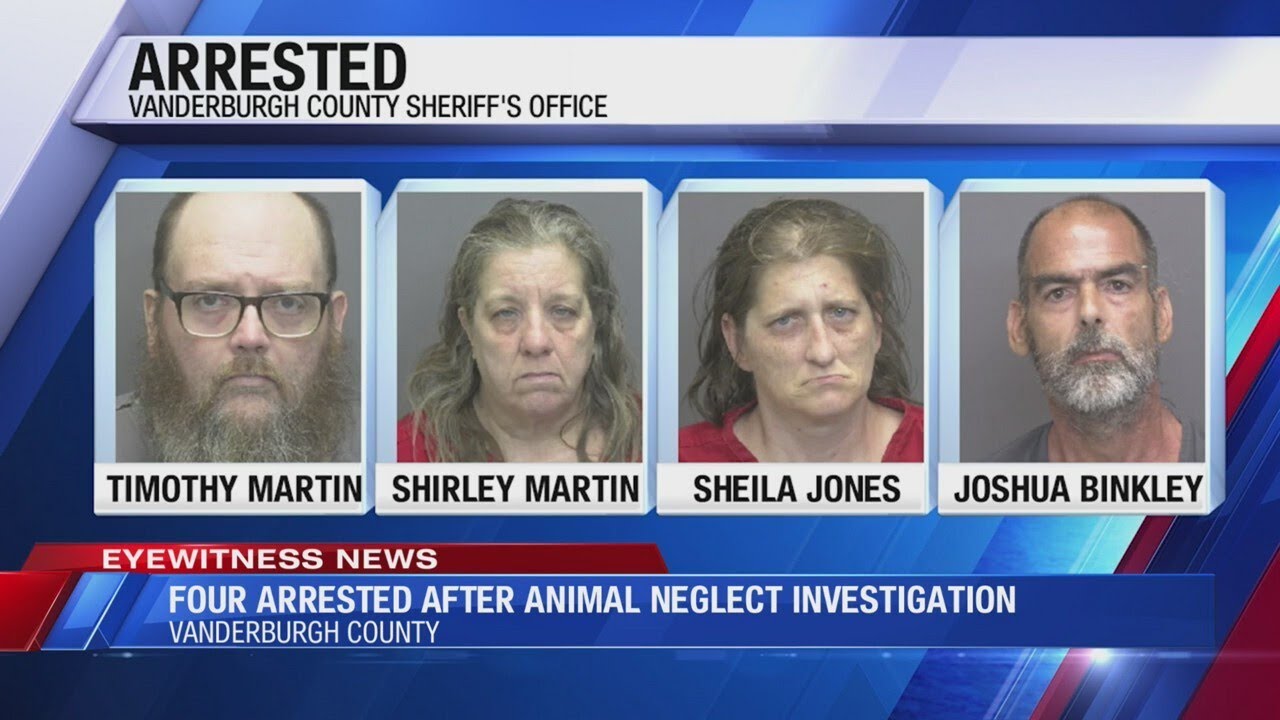 Four arrested after animal neglect investigation