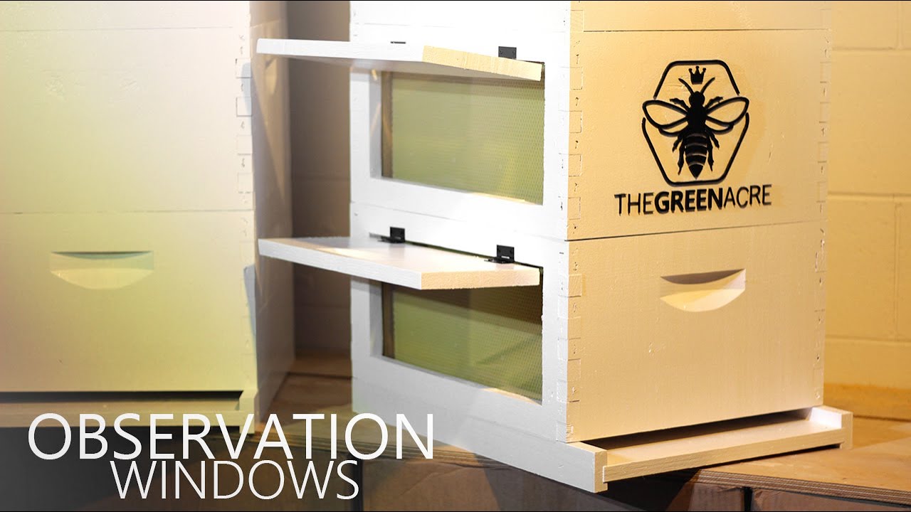 DIY Bee Hive Observation Windows | The Green Acre
