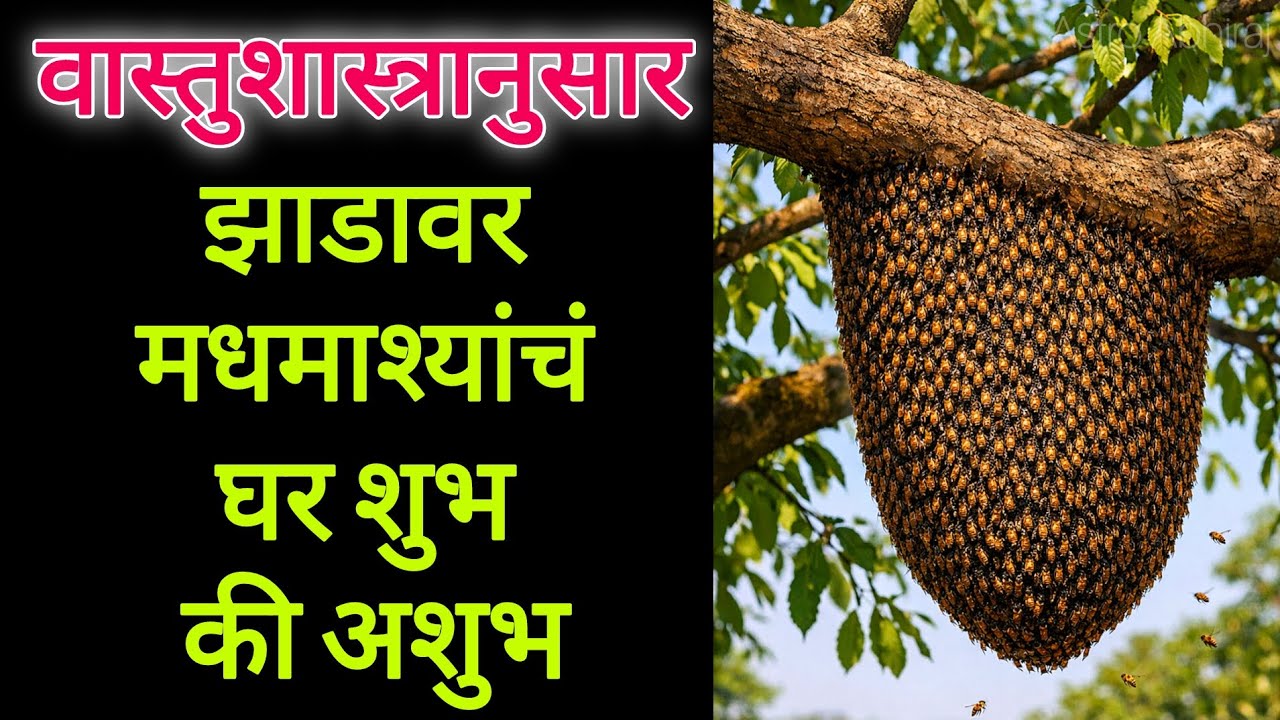झाडावर मधमाश्यांचं घर शुभ की अशुभ? | वास्तु संकेत, परिणाम आणि उपाय | Vastu Tips Marathi