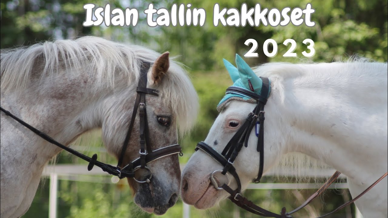 Islan tallin kakkoset 2023