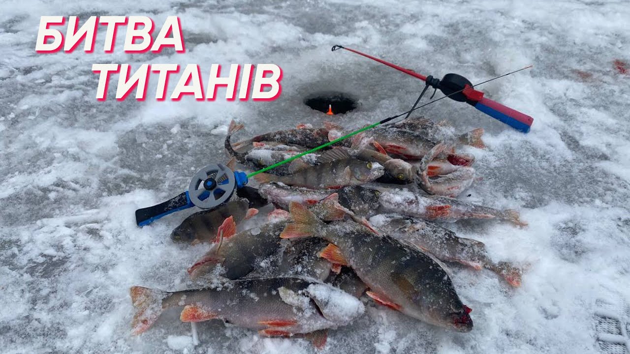 ✅ЗНАЙШЛИ СТАЮ СКАЖЕНОГО ОКУНЯ✅ХРОБАК проти БЕЗМОТИЛКИ✅КЛЮЄ на ВСЕ🐟🐟🐟