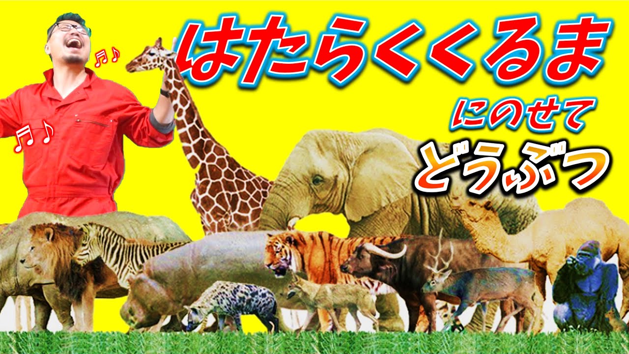 動物の歌①！「はたらくくるま」にのせて【強い！かっこいい！動物】Ver.