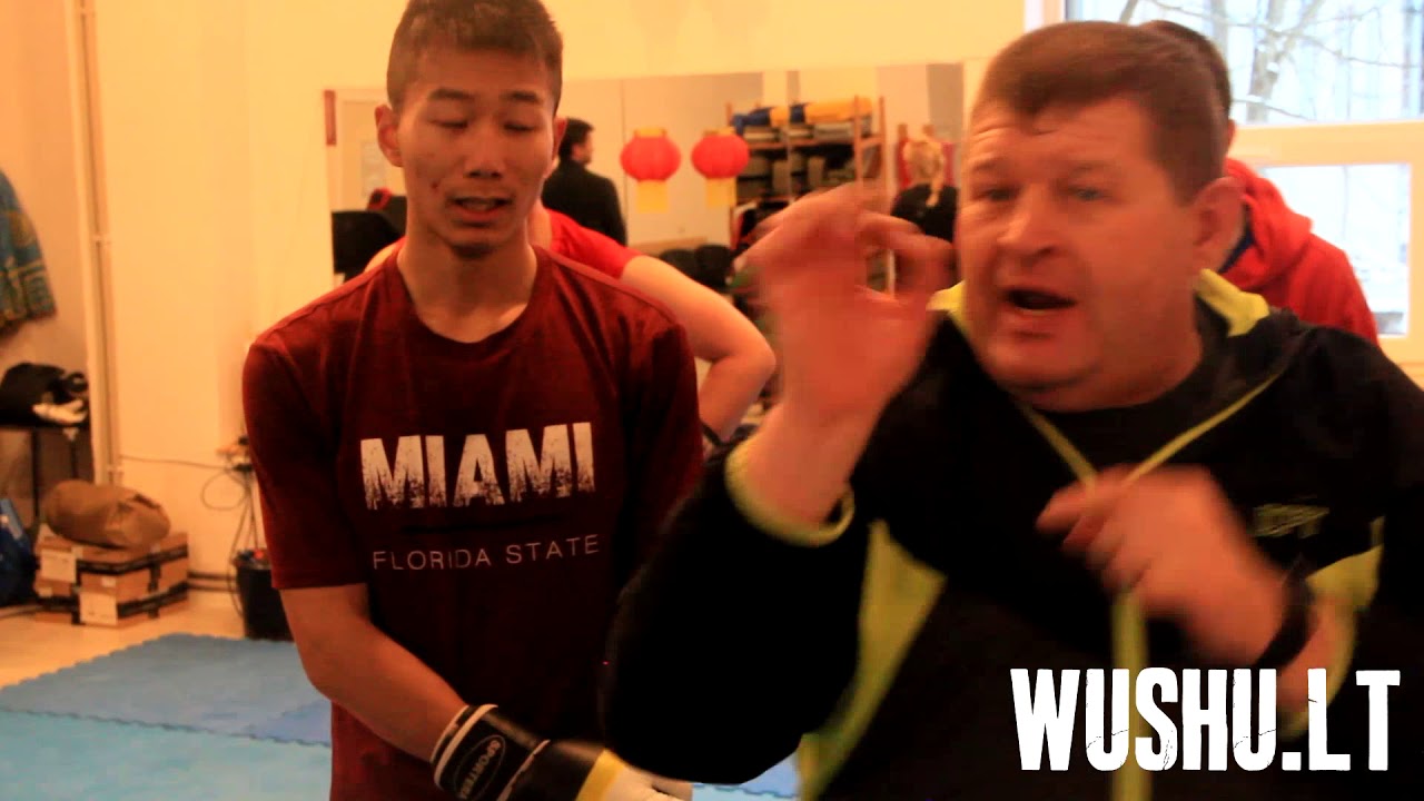 Wushu Sanda Seminar with Alexander Raduncev Part 1