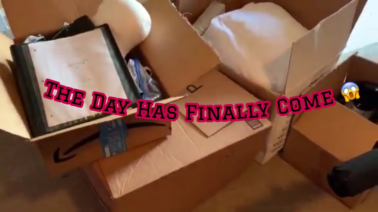 College Move-In Day 2019| SHSU