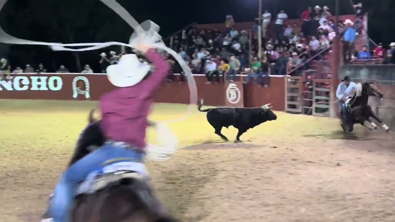 Cayó el lazo elegante Saúl Giménez ante el maromas rancho los Bravos del Diamante‼️🔥