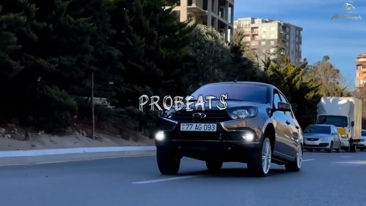 ProBeats & Resad Dagli - Neler Var Remix