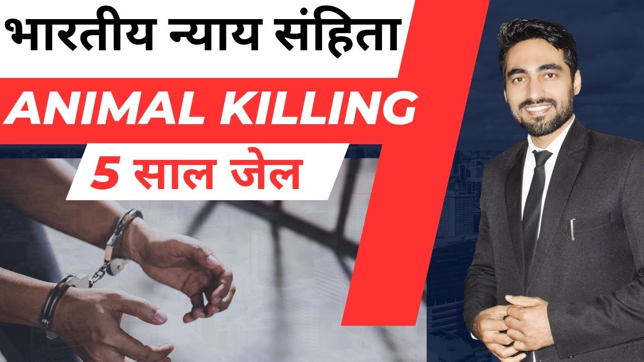 Law on Animal Cru*lty| Law on Animal Kil*ing. Punishment for Animal Kil*ing. #animals