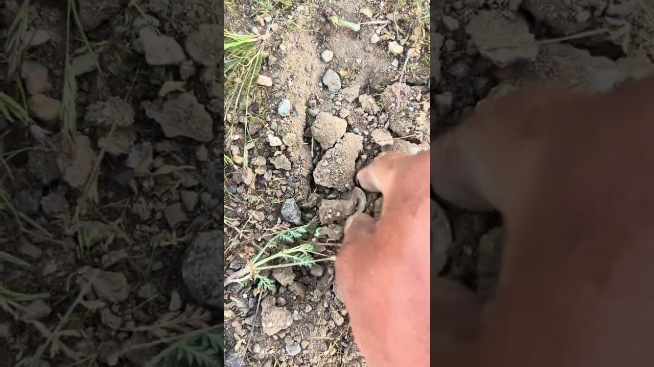 Encontré un tesoro😱😳👍#metaldetecting 