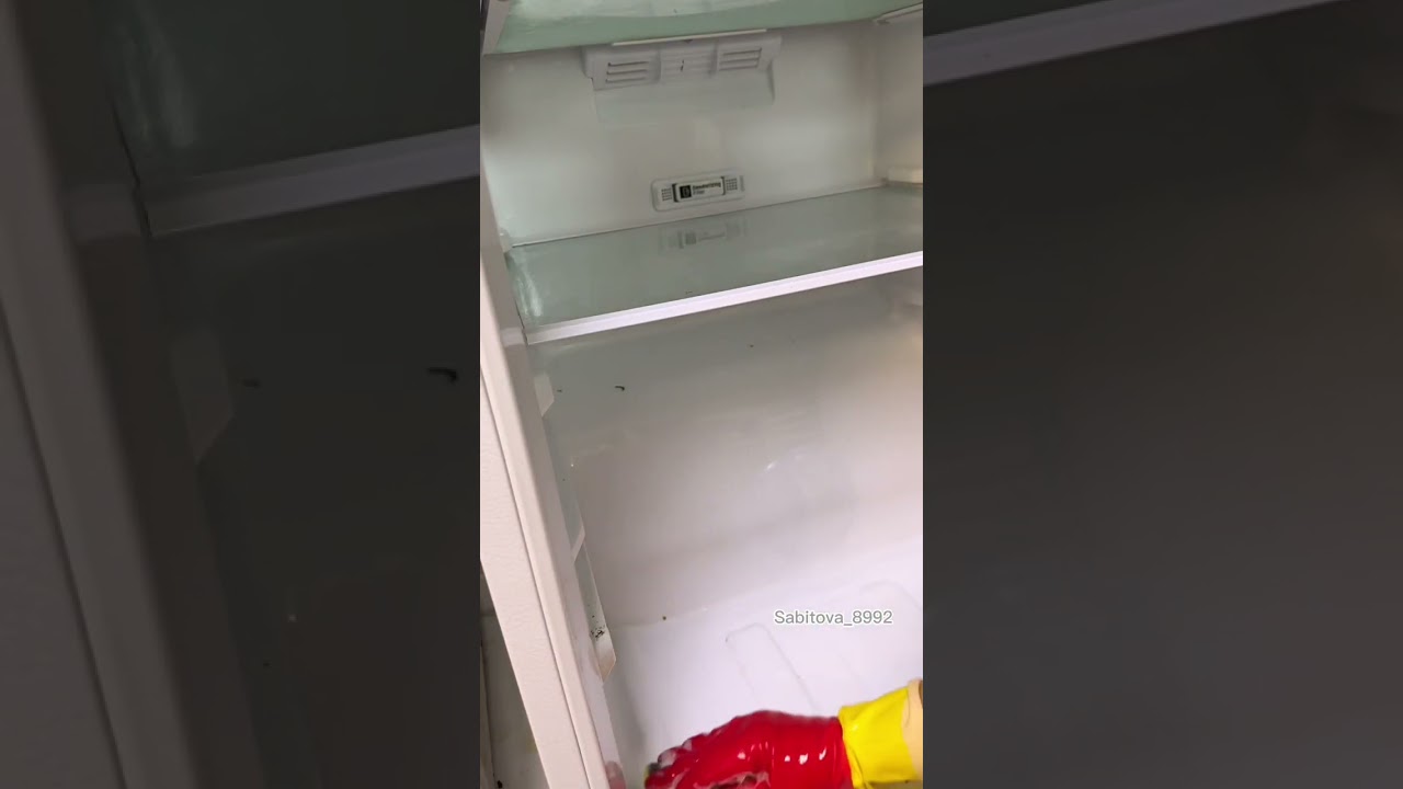 Xaladelnik tozalash xidlarini yo'q qilish ✅#shortvideo #top #english #shortsvideo  #life #shorts