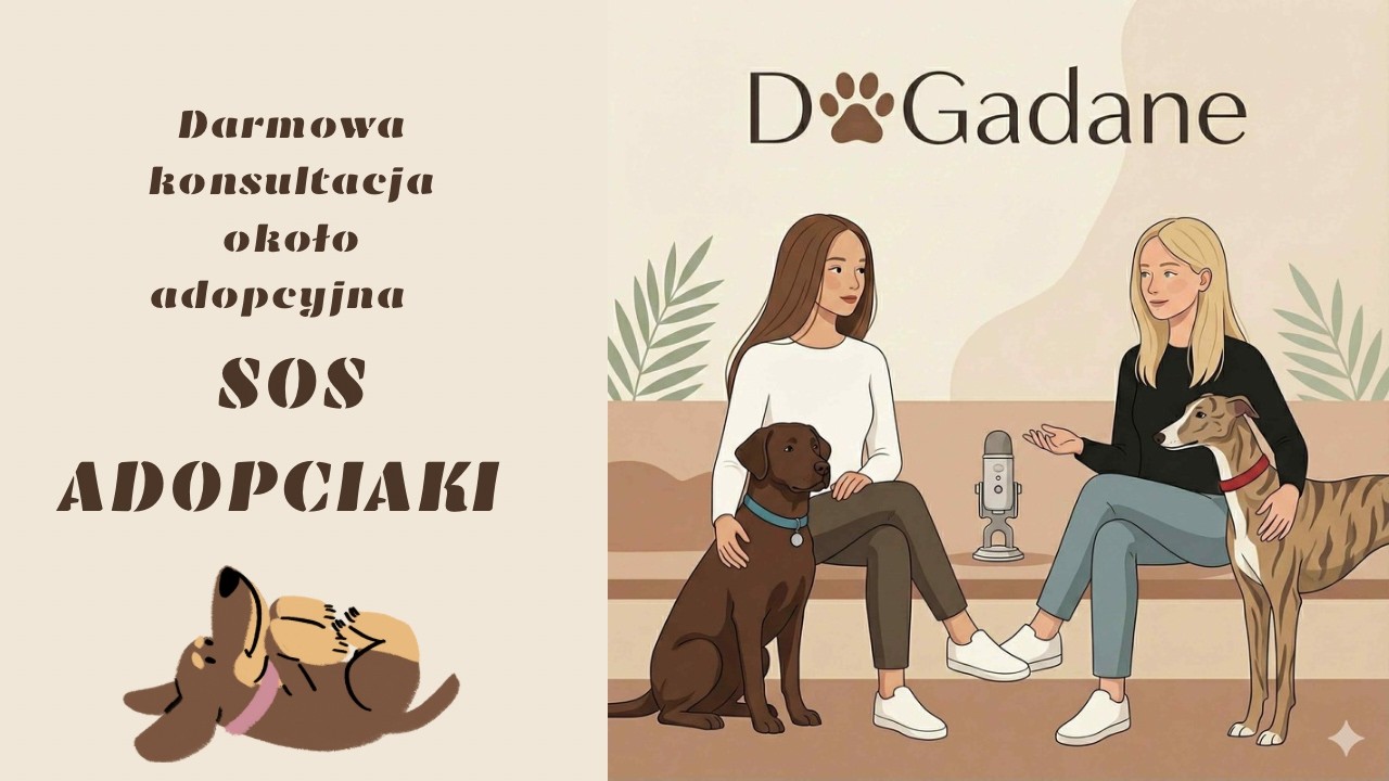 Darmowa konsultacja około adopcyjna - SOS adopciaki