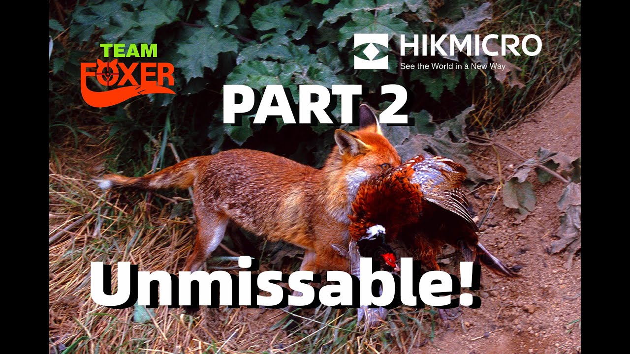 Продуктивный термофотосъёмка. Часть 2. Много экшена...