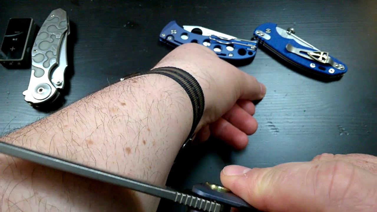 Bestech Knives "Dolphin" - PA mit Writing Turning Flipping