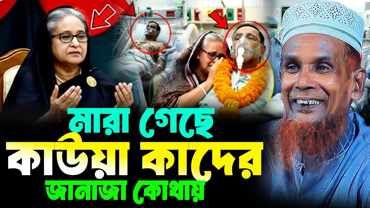 মারা গেল কাউয়া কাদে গানে গানে ধোলাই । Mawlana Baccu Ansari 2026 মাওঃ বাচ্চু আনছারী