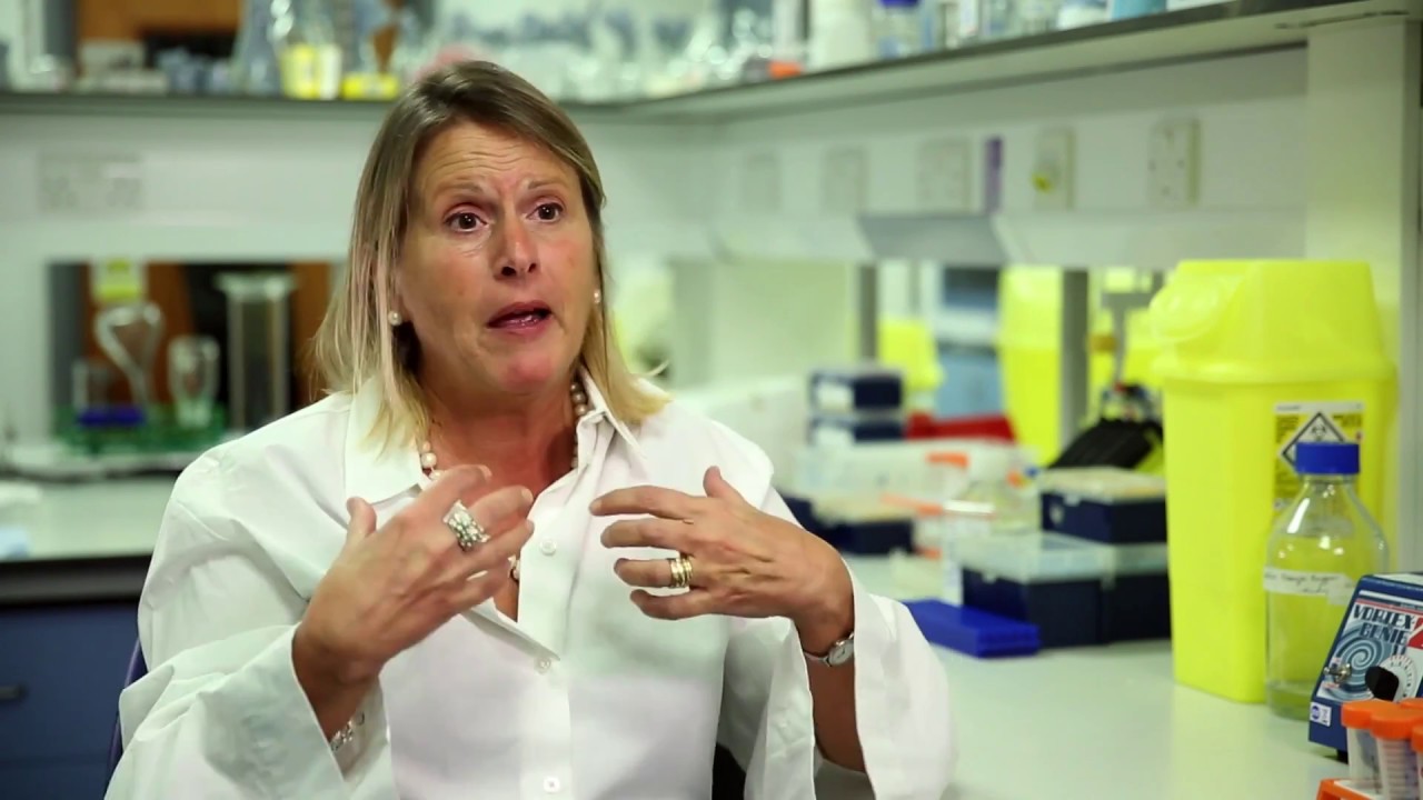 BHF Research into Immunology