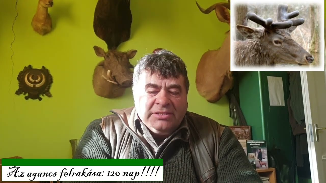 Vadászvizsga tételek röviden 1. tétel