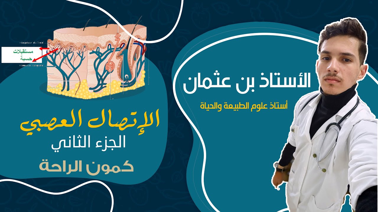 الإتصال العصبي : الجزء 2 ( كمون الراحة )
