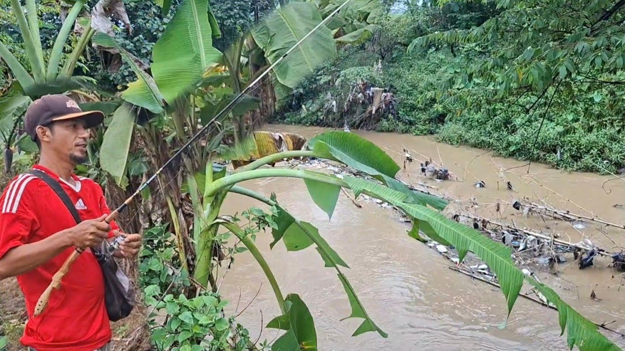 Mancing liar bersama kawan‼️Alhmdulilah masih ada cinta nya dari ikan kumis tipis‼️