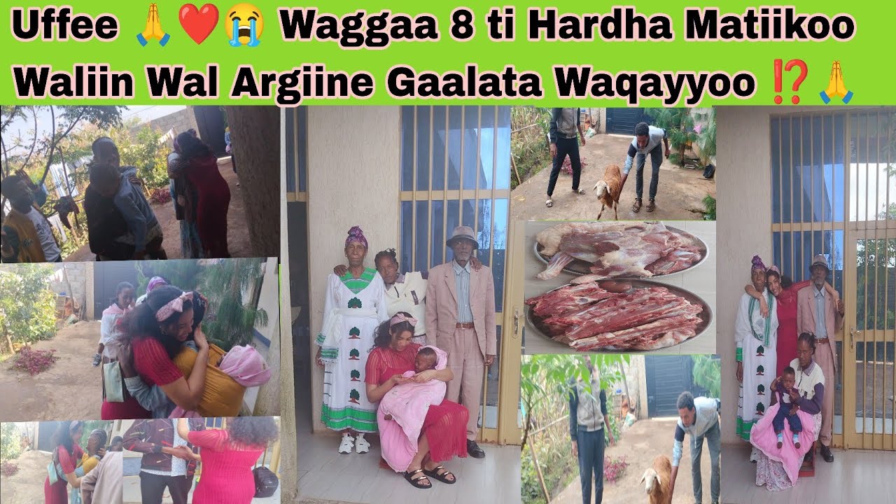 Uffee Harmee koof Matii hundayyuu Waggaa 8 ti Hardha Arge 🙏😭 Gaalata Waqayyoo 