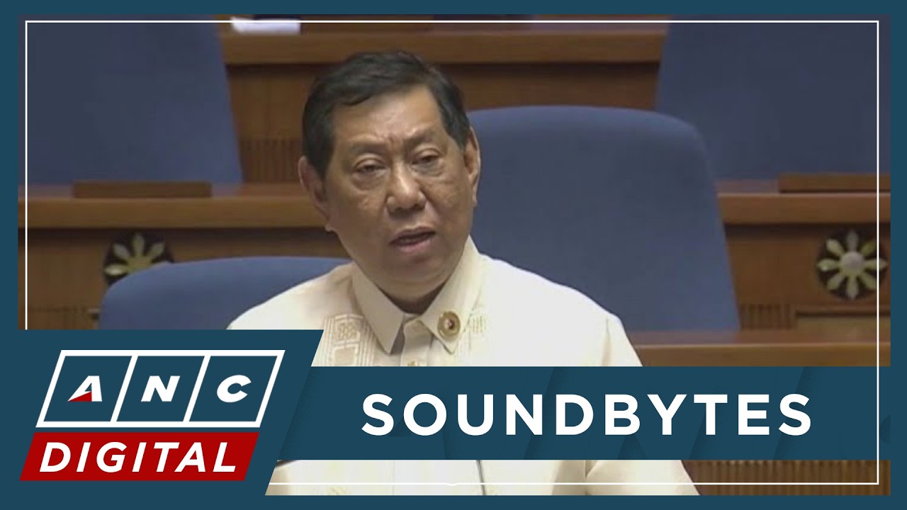 'I have no bitterness': Erice on being replaced by De Lima as Senior Deputy Minority Leader | ANC