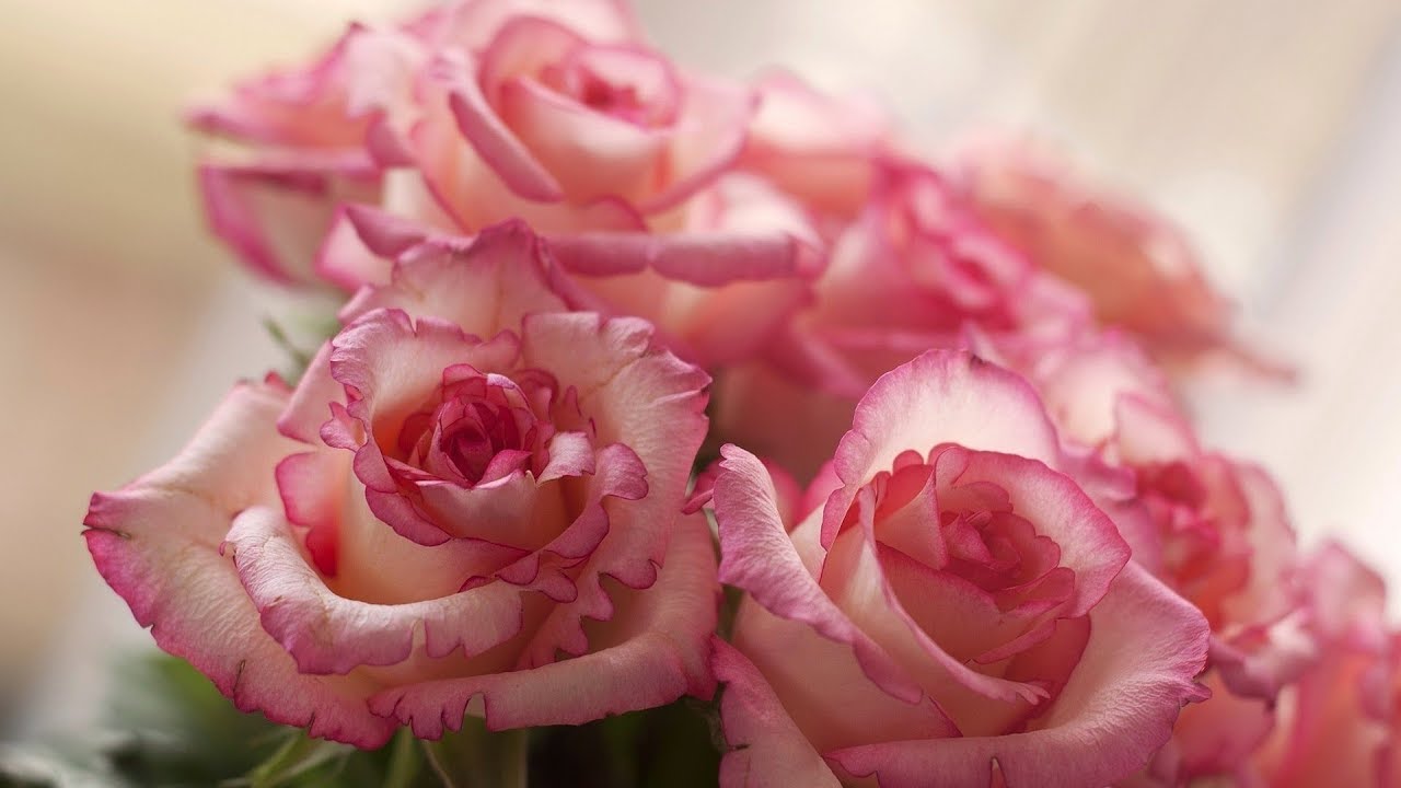 Some Trials Facing Muslimaat in Non-Muslim Society (Part 1) - Fareed 'Abdullaah