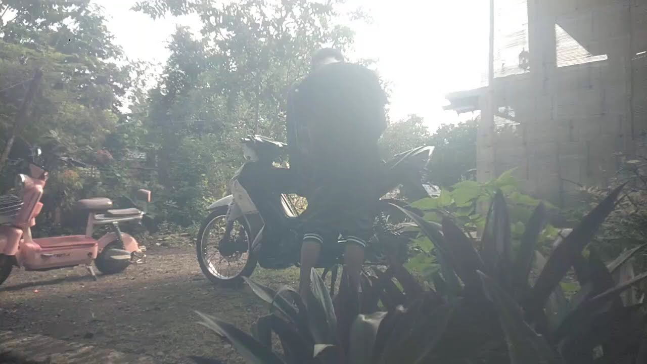 KOLEKSI LAGU DANGDUT LAWAS PILIHAN TERBAIK ALBUM DARI MANSYUR S