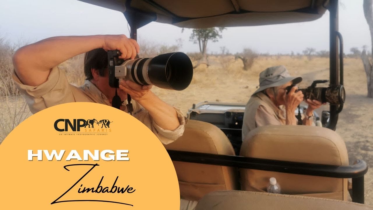 Hwange Safari Sep 2022