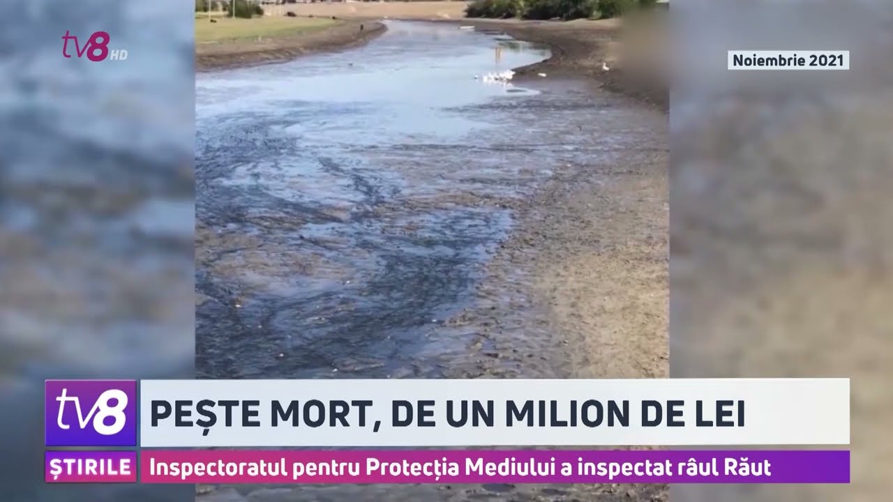 Sute de pești, morți în Răut. Apa din râu, blocată de hidrocentrala de la Pistruieni