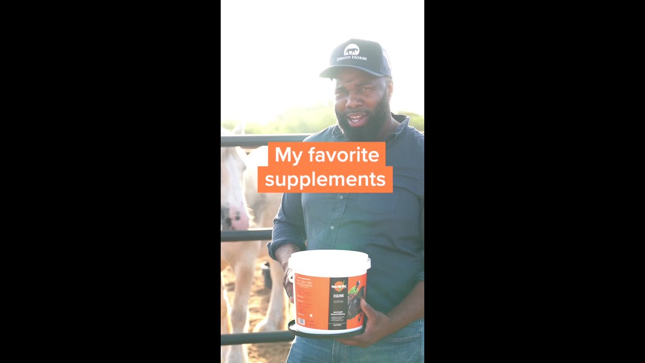 Rose-Hip Vital - My Favorite Supplement for my Horses!