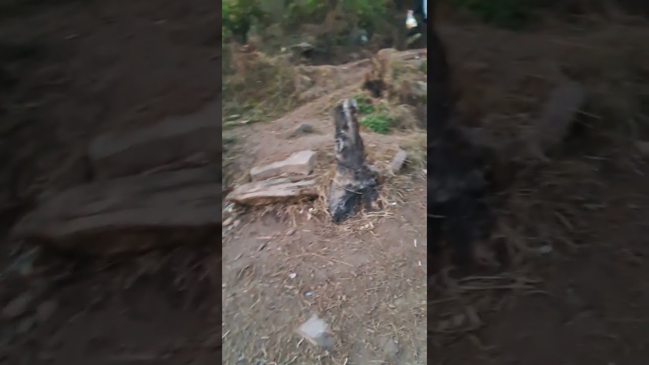 simli dam shikar fishing new update