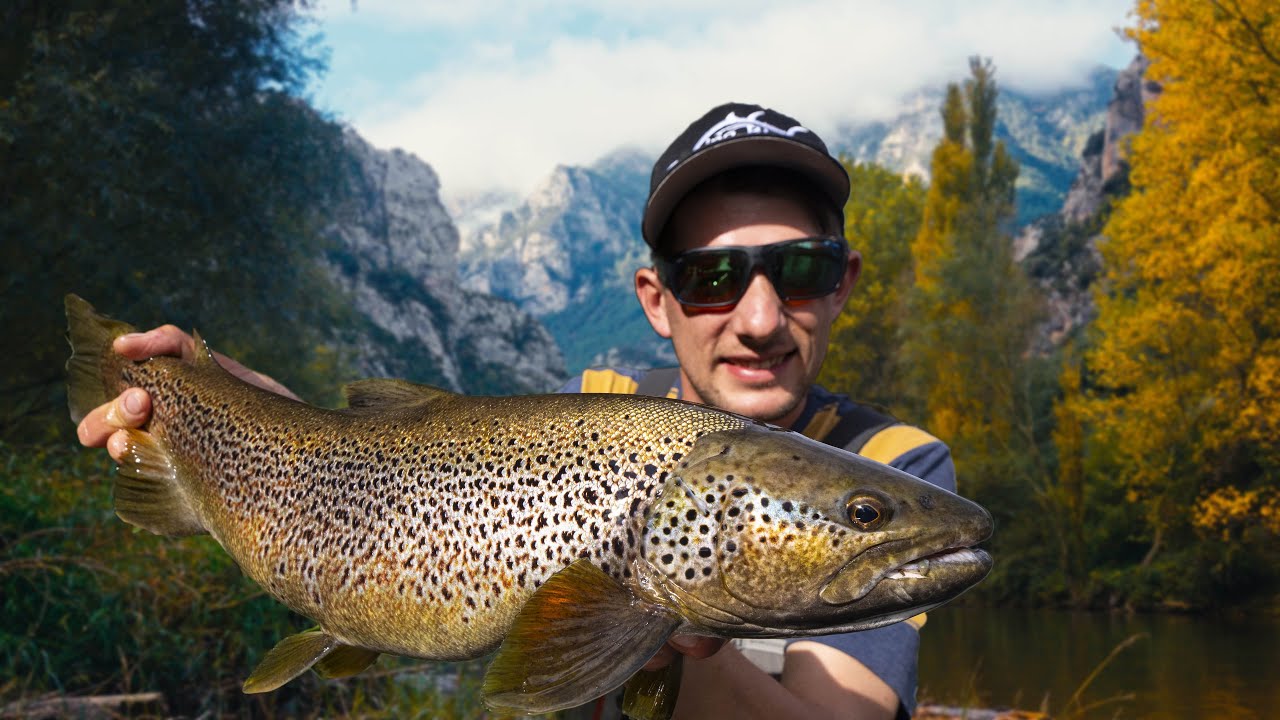 Big Spanish Autumn Trout - VisTD