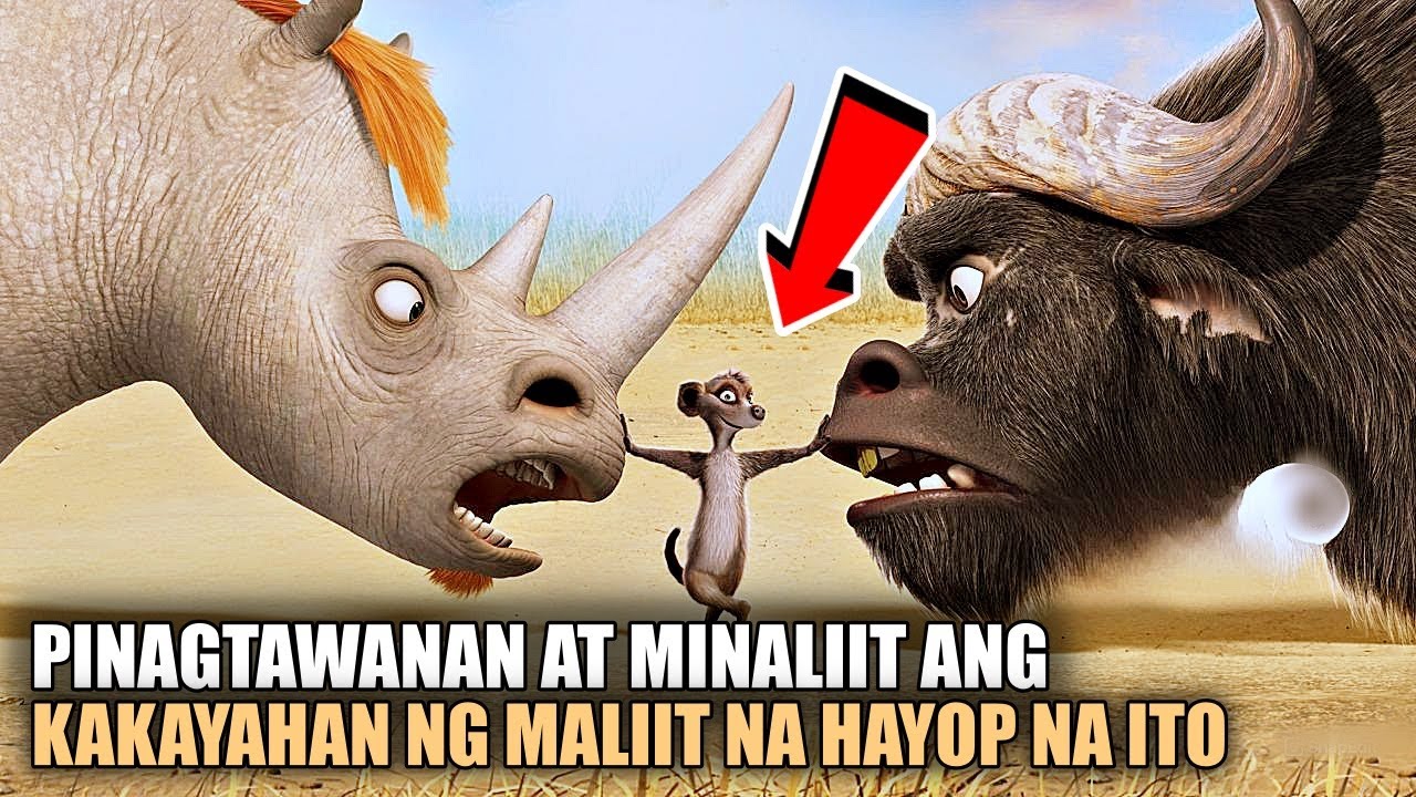 NAGKAGULO ANG MGA HAYOP SA GUBAT MATAPOS MAWALA ANG...| Tagalog movie recap