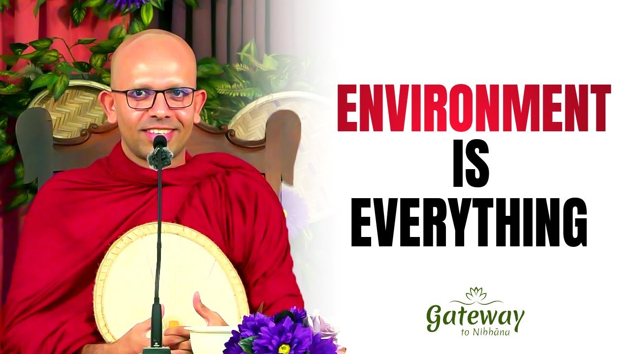 Environment is Everything!