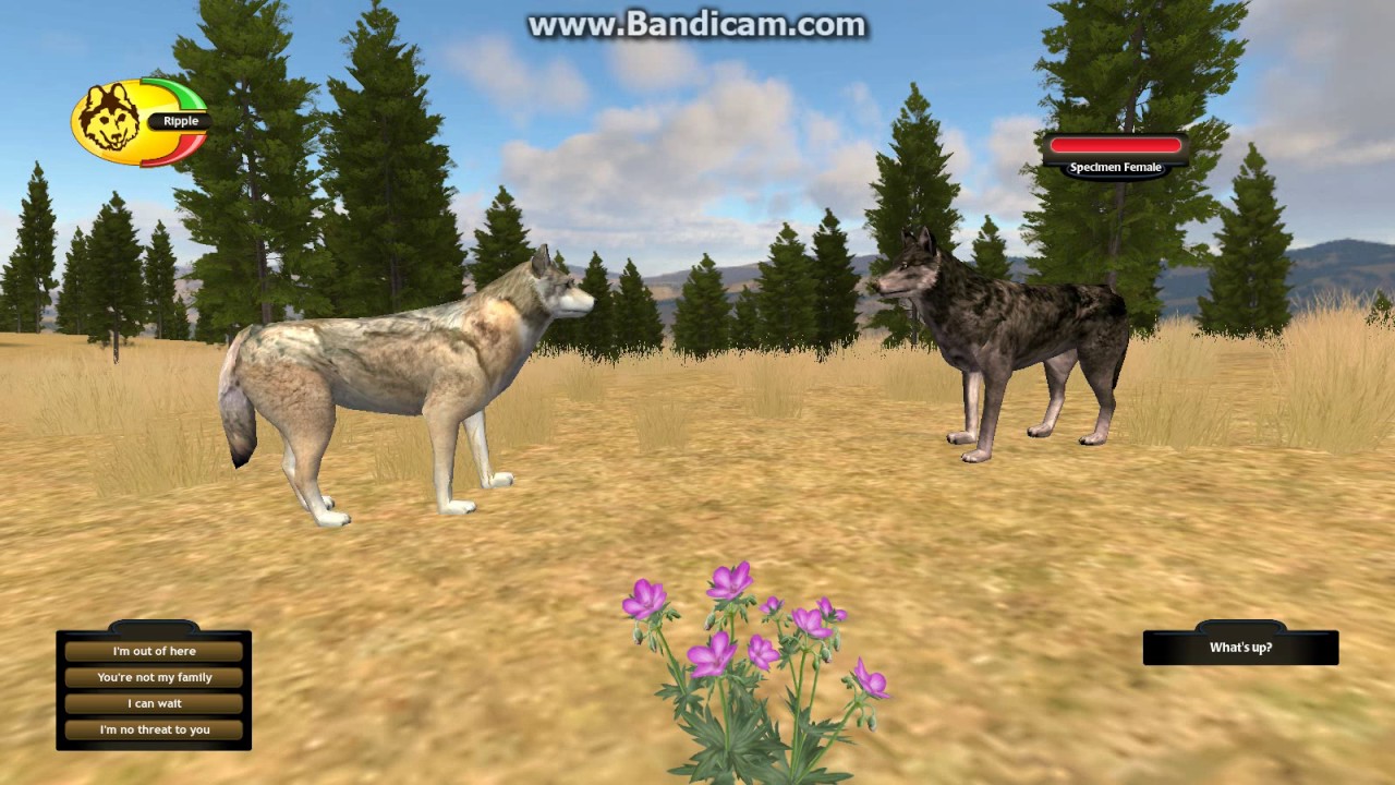 WolfQuest AMD: Part 2