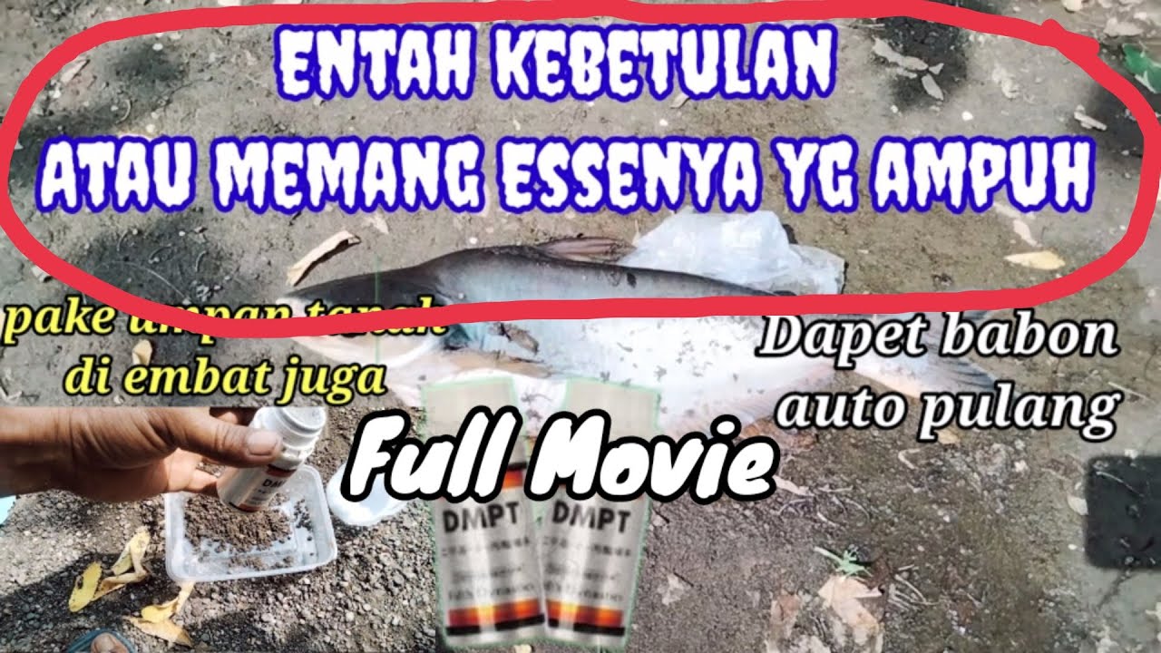 Strike ikan babon || Essen DMPT
