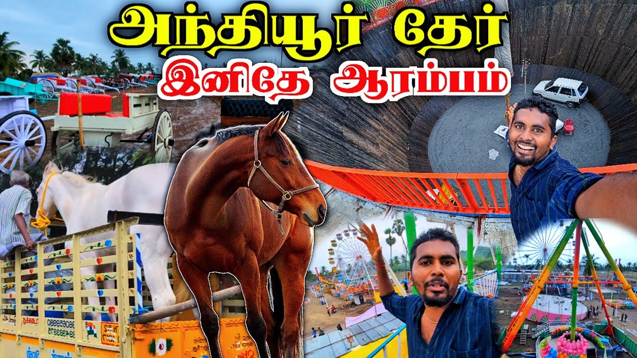 🔥2024 அந்தியூர் குருநாதசாமி தேர் திருவிழா இனிதே ஆரம்பம் | குதிரை சந்தை | ANTHIYUR HORSE MARKET | K7