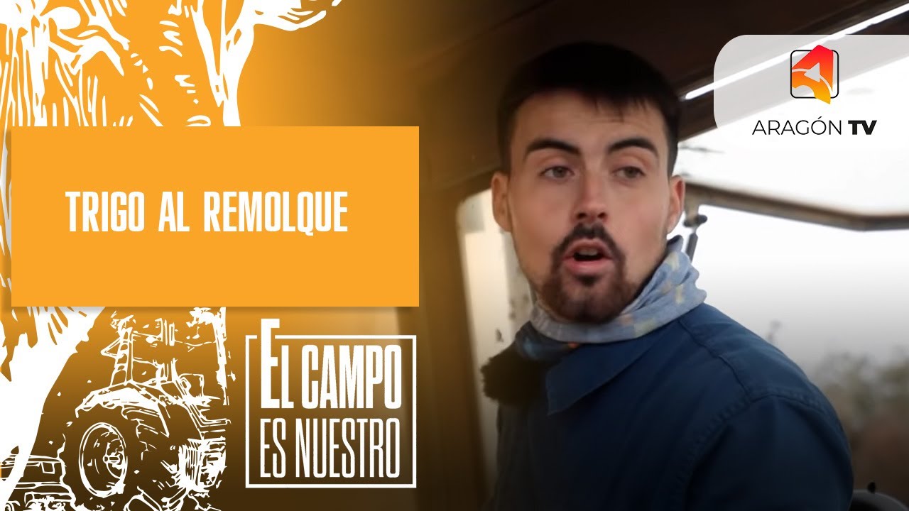 Trigo al remolque