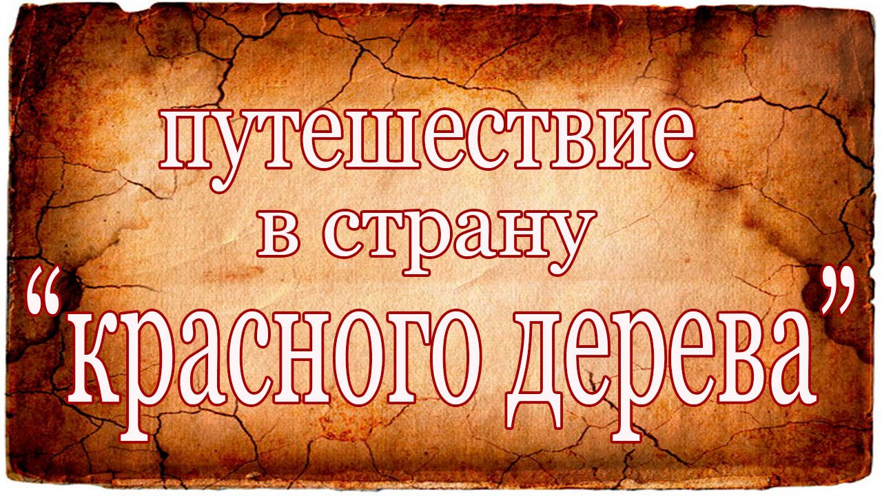 Путешествие в страну КРАСНОГО ДЕРЕВА. Travelling to 