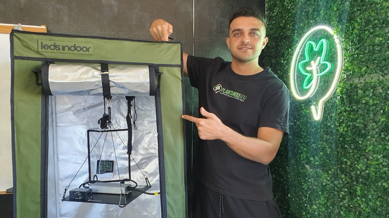 Montando um cultivo indoor que rende 100g