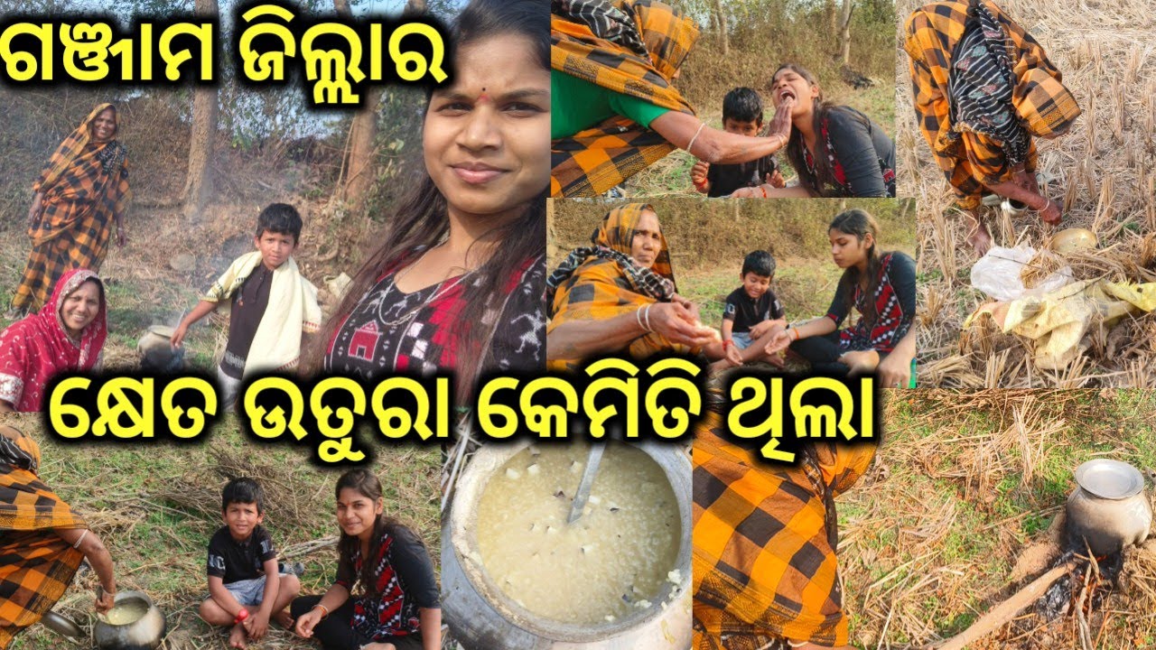 ଗଞ୍ଜାମ ଜିଲ୍ଲାର କ୍ଷେତ ଉତୁରା କେମିତି ଥିଲା 🤪#Berhampur Vlogger @babitaallvlog