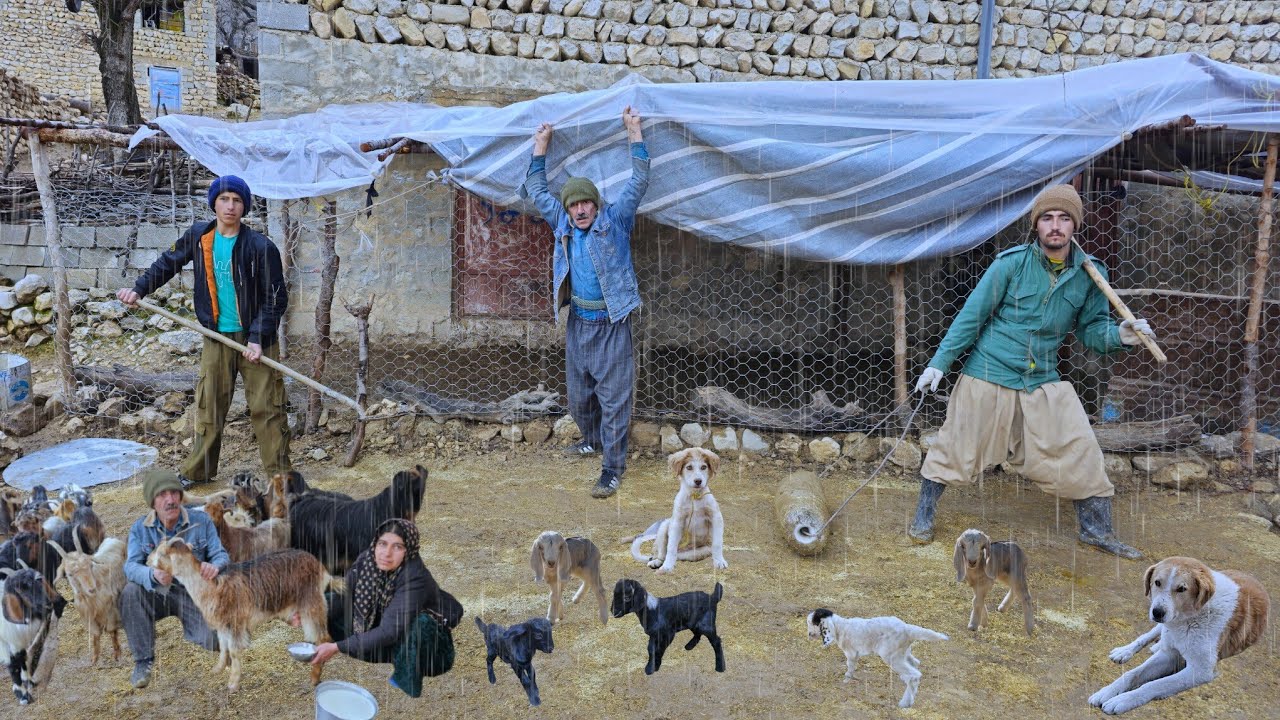 Nomadic life in storms and floods 🌧️ | Building shelters for goats and caring for domestic animals