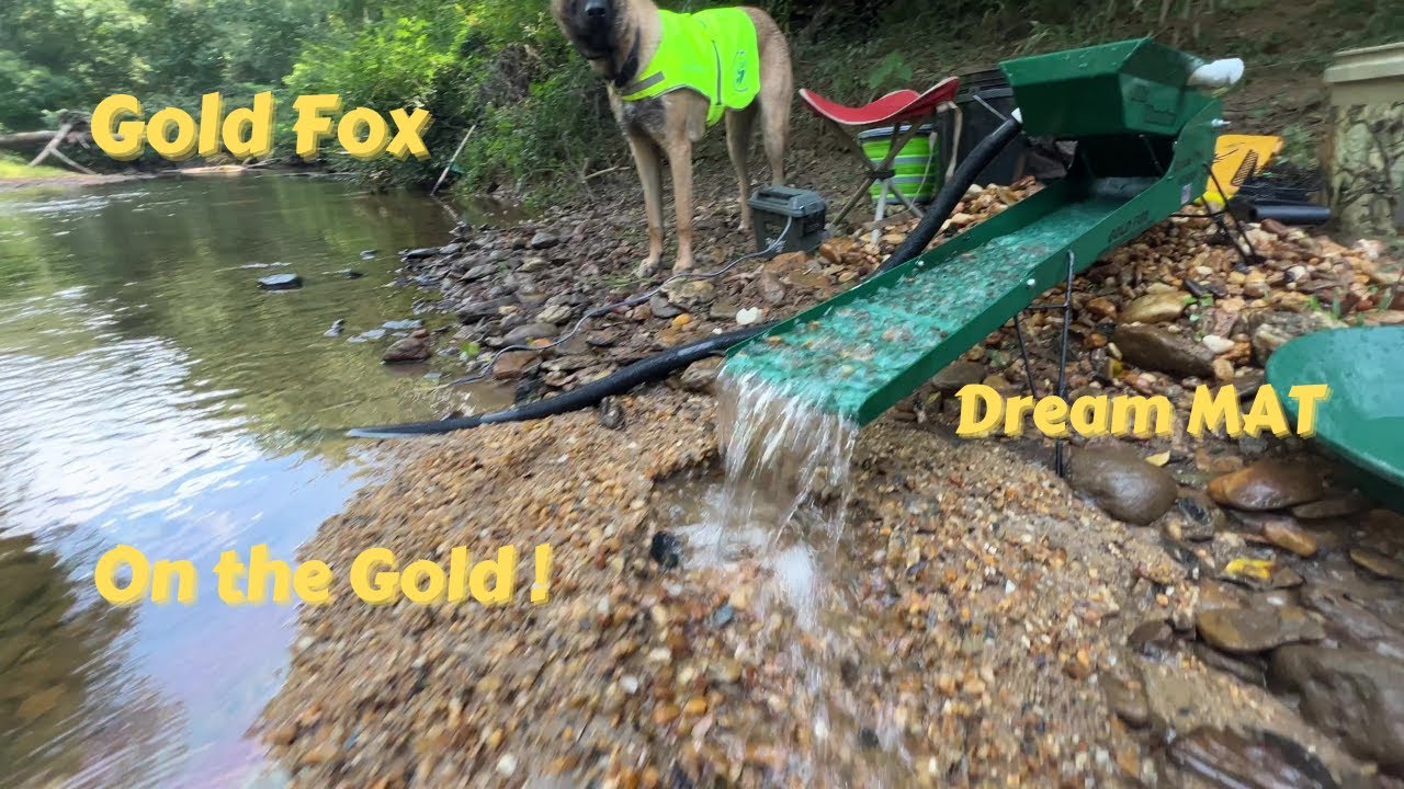 Gold Fox with Dream Mat combo , On the Gold !