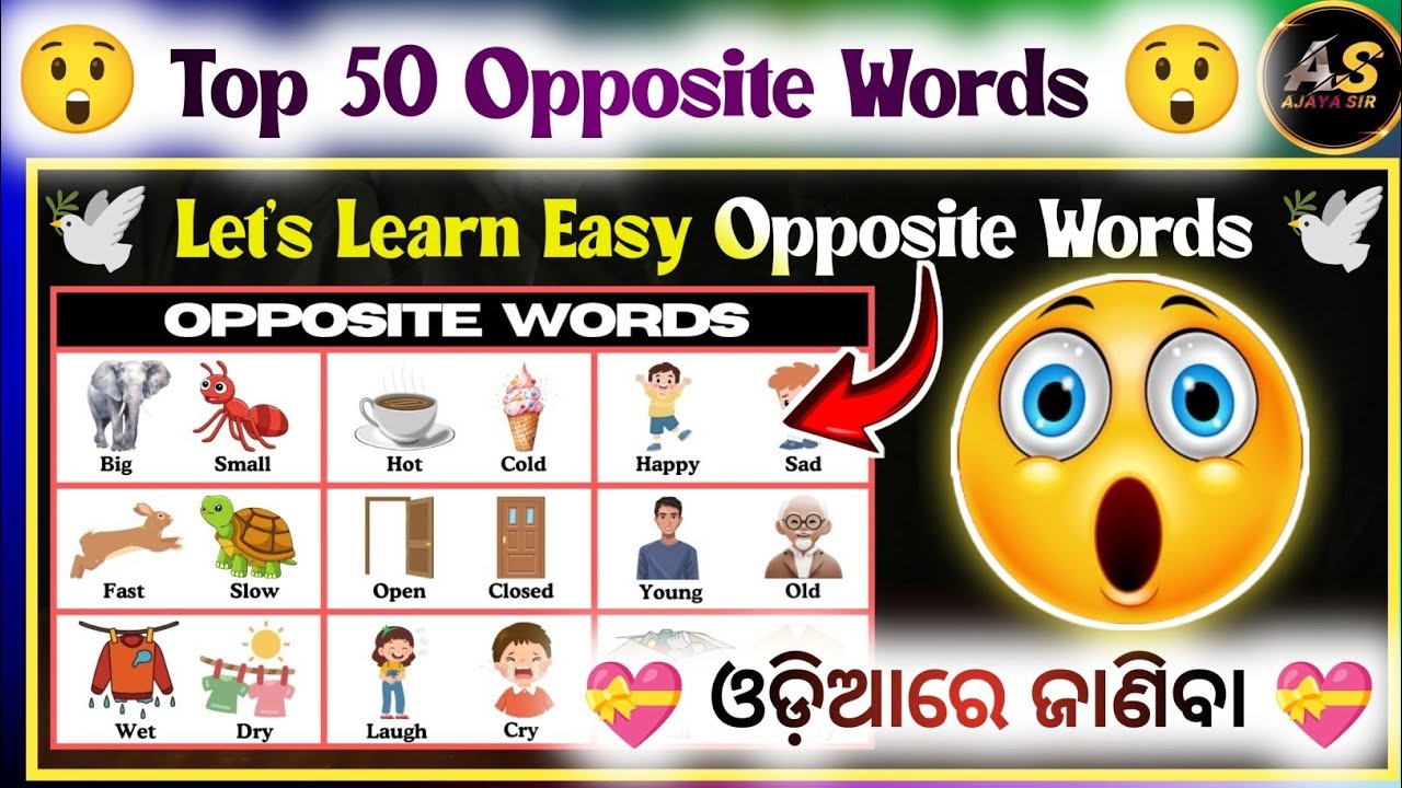50 Opposite Words In English And Odia | English Opposite Words | Odia Opposite Words |Opposite Words