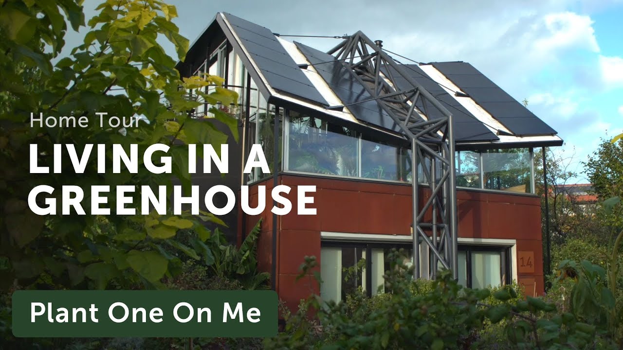 What's it Like to Live in a Greenhouse? Houseplant Home Tour — Ep 163