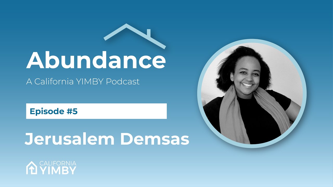 Abundance: Episode 5 with Jerusalem Demsas