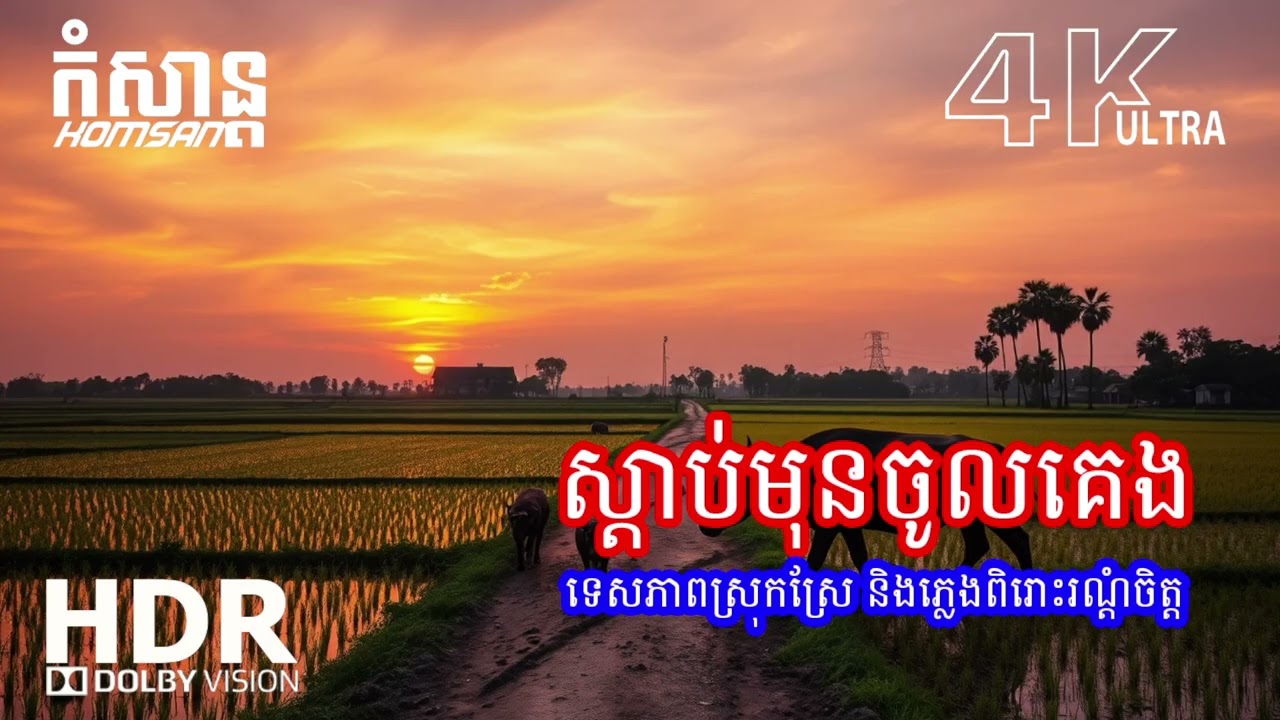 🎶 សម្លេងតន្ត្រីស្ងប់ស្ងាត់ពេលយប់ – ជួយឲ្យគេងលក់ជ្រាលជ្រៅ
