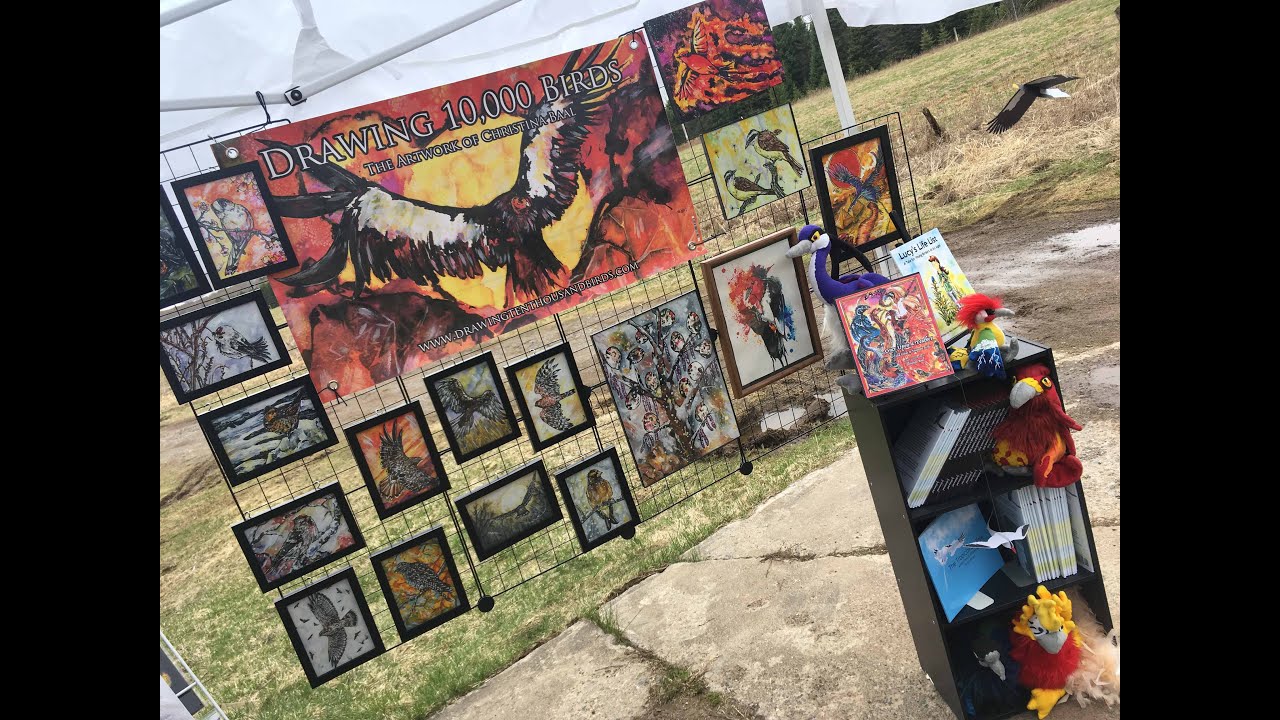 Drawing 10,000 Birds Virtual Vendor Booth