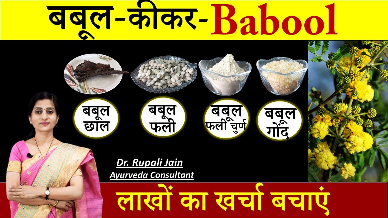 Amazing Health Benefits of बबूल- कीकर (Babool) || सही आयुर्वेदिक सेवनविधि जरुरी || बबूल फली Powder