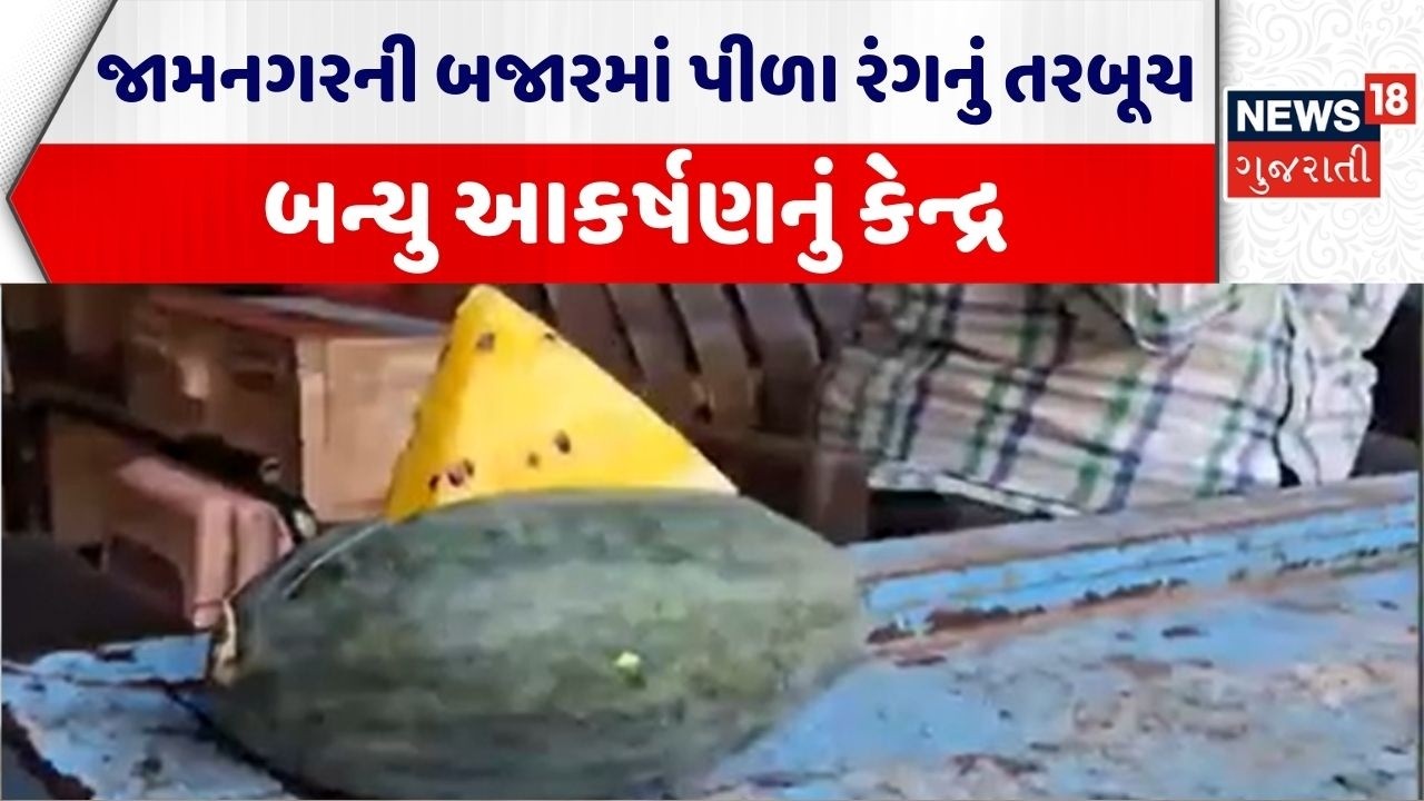 Jamnagar News | જામનગરની બજારમાં પીળા રંગનું તરબૂચ બન્યુ આકર્ષણનું કેન્દ્ર | Yellow Watermelon News